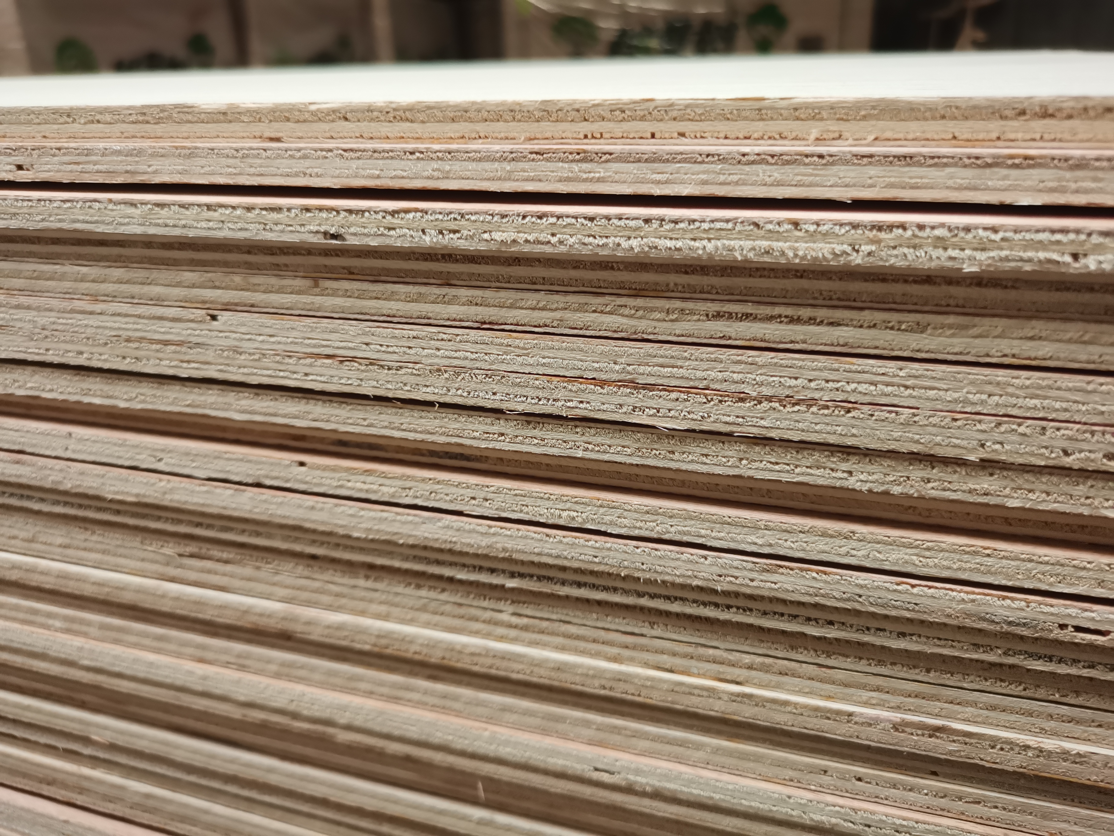New Plywood Product 8mm special size plywood for door(图4)