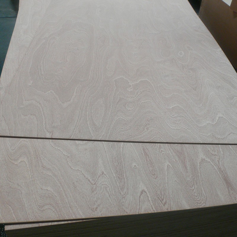 Sapele plywood