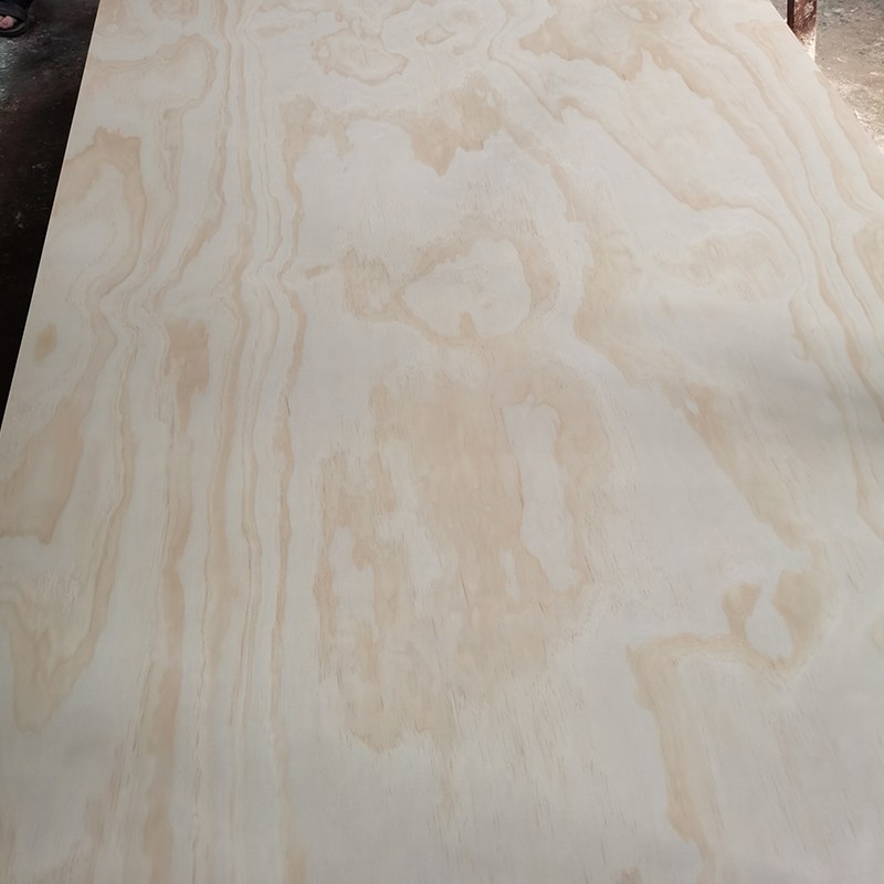 Radiata pine plywood