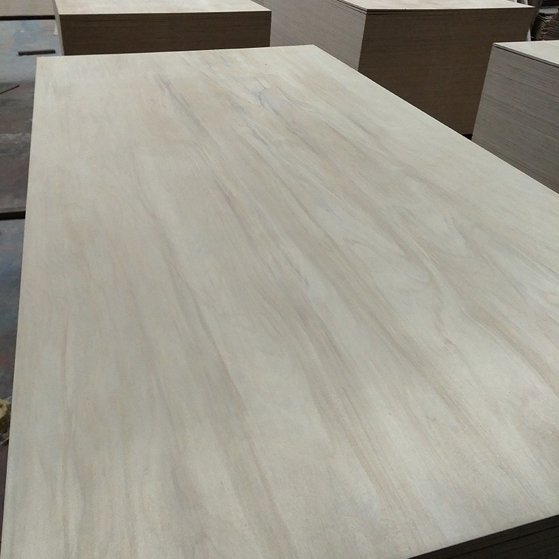 Agathis Dammara Kauri plywood