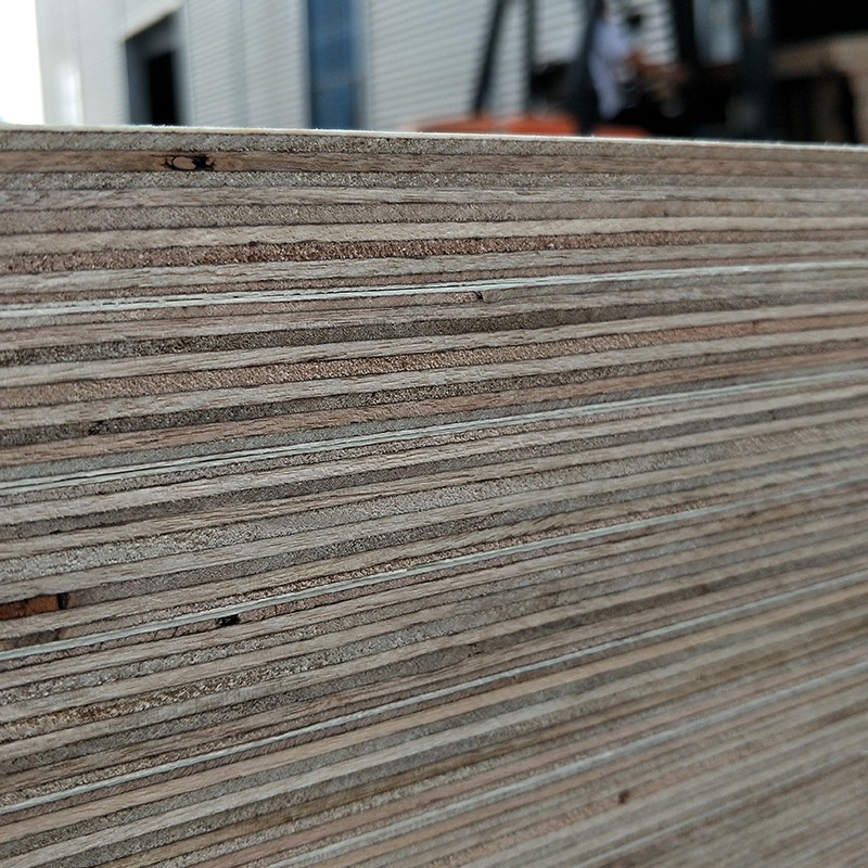 Film faced plywood with hardwood core combi core poplar core