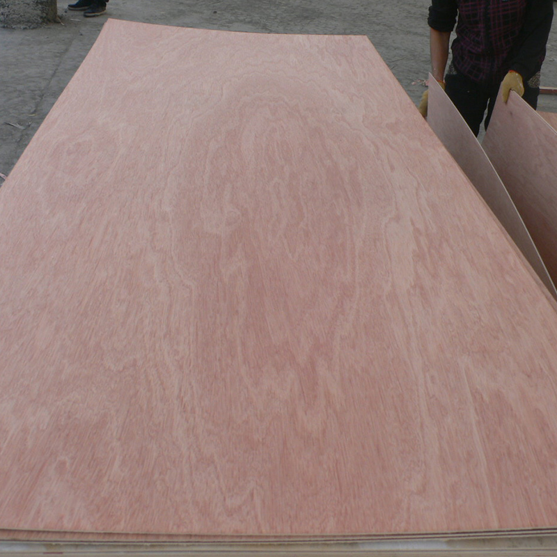 DOOR SKIN PLYWOOD(图1)
