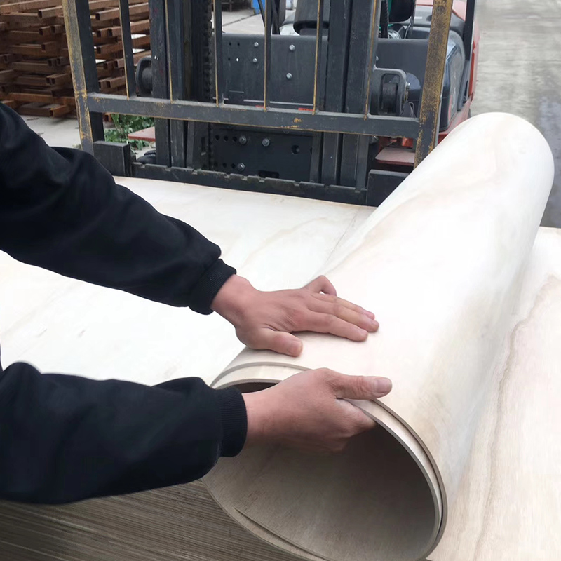 FLEXIBLE PLYWOOD(图2)