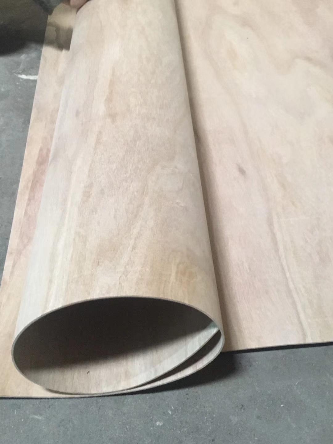 Bending Plywood /Flexible Plywood(图6)