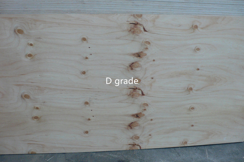 Radiata pine plywood(图3)