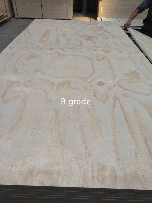 Radiata pine plywood(图1) Radiata pine plywood(图1)
