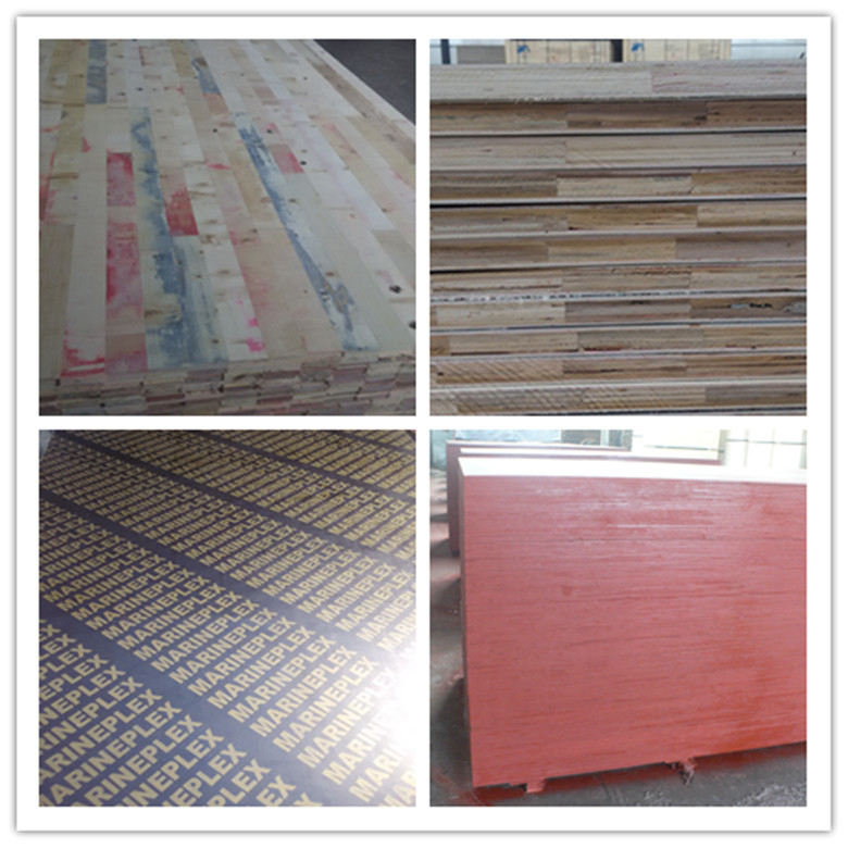 Film faced plywood with hardwood core combi core poplar core(图4)