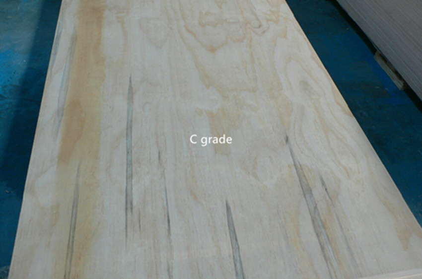 Radiata pine plywood(图2)