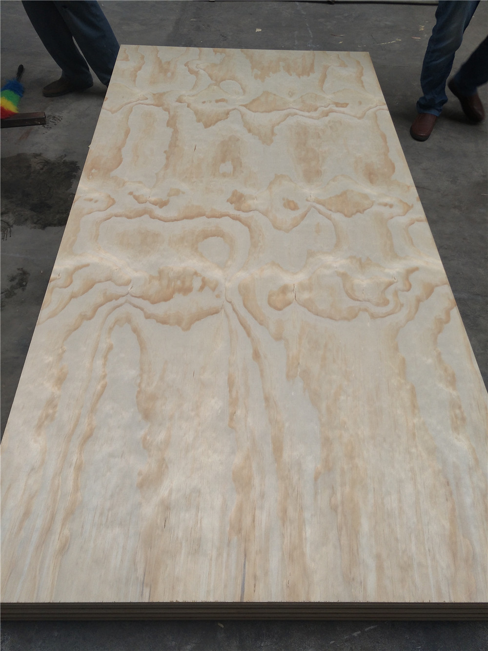 Radiata pine plywood(图1)