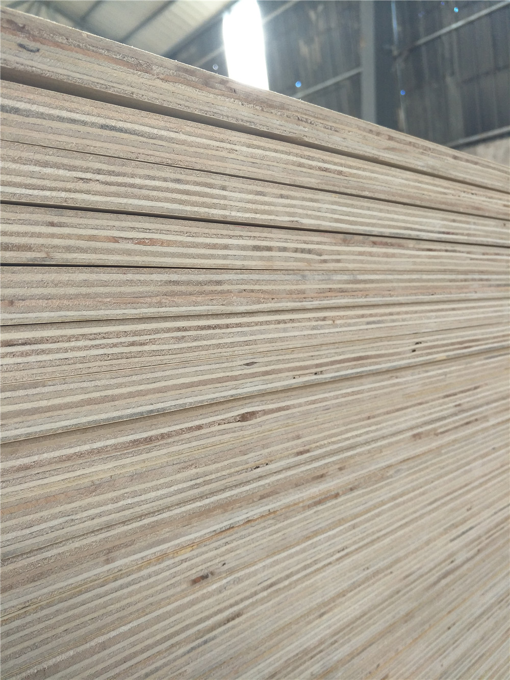 Radiata pine plywood(图3) Radiata pine plywood(图3)