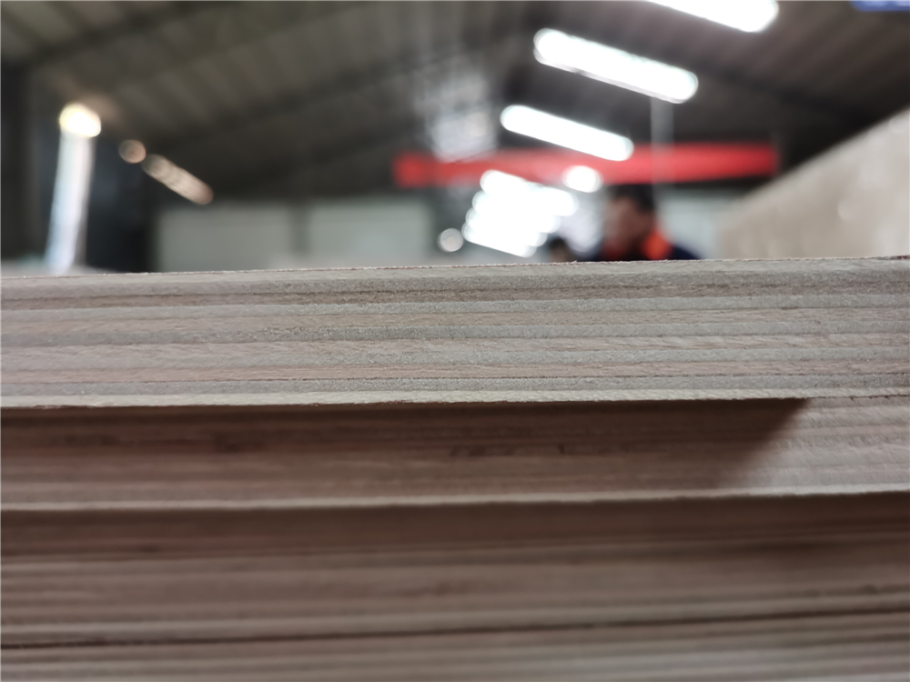 Okoume BB/BB plywood with combi core E0 glue(图5) Okoume BB/BB plywood with combi core E0 glue(图5)
