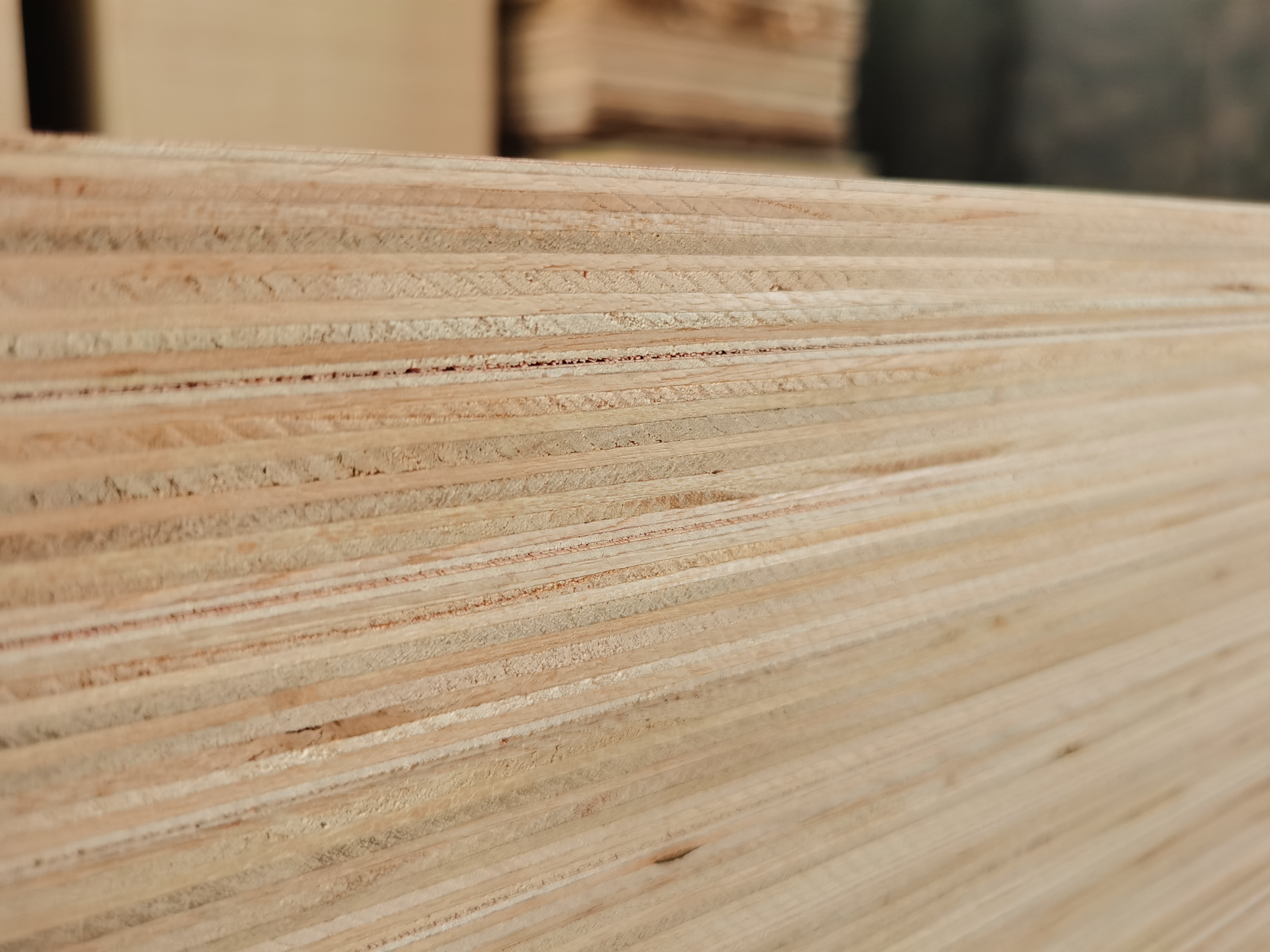 HARDWOOD PLYWOOD (图7)